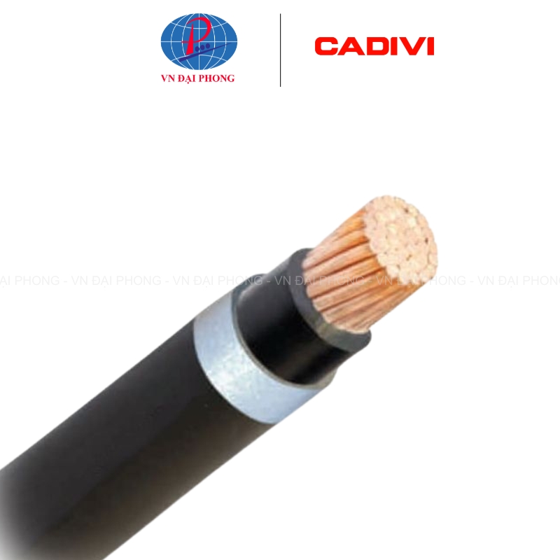 Dây cáp điện Cadivi CV30mm2 (0.6/1kV)