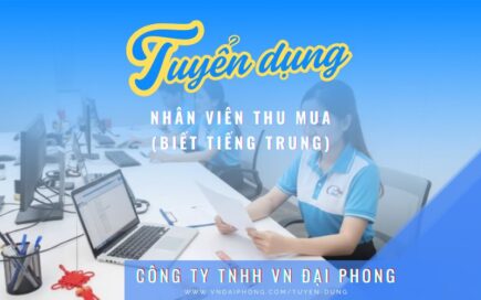 Tuyển Dụng Nhân Viên Thu Mua (Biết tiếng Trung) - VN Đại Phong