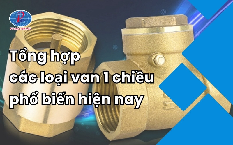 Tổng hợp các loại van 1 chiều phổ biến hiện nay